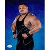 Image 1 : WWE WWF TNA Wrestler D'Lo Brown Signed Photo