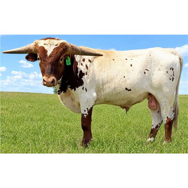 TAURUS GLR