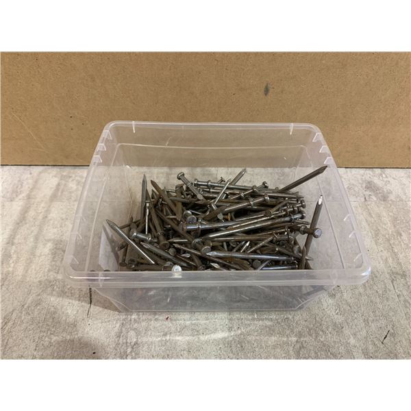 Bucket Of Duplex Nails
