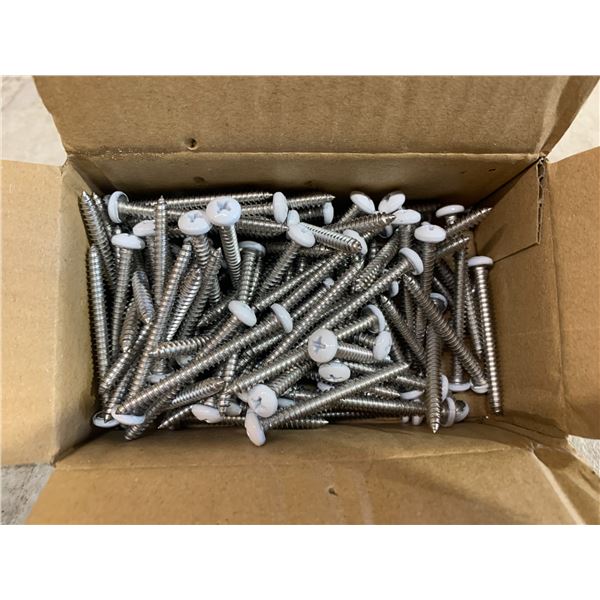 Phillips Pen Head Self Tapping Screws