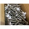 Image 2 : Phillips Pen Head Self Tapping Screws