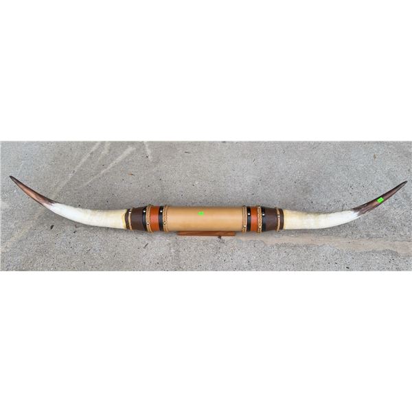 Mounted Longhorn Steer Horns with Leather and Metal Accents