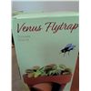 Image 5 : Venus Flytrap Grow Kits, Hummingbird Wind Chime, and Solar Fairy Statue