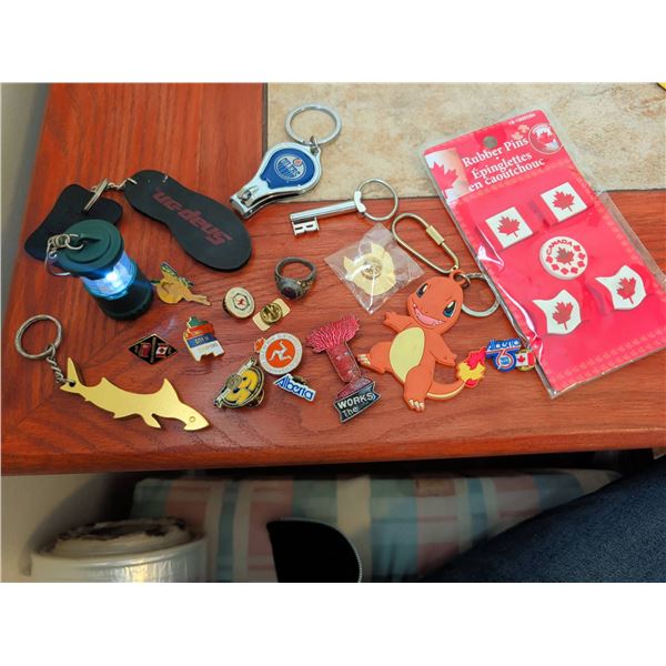 Lot: Keychains, Pins, Charmander Keychain, Canada Pins