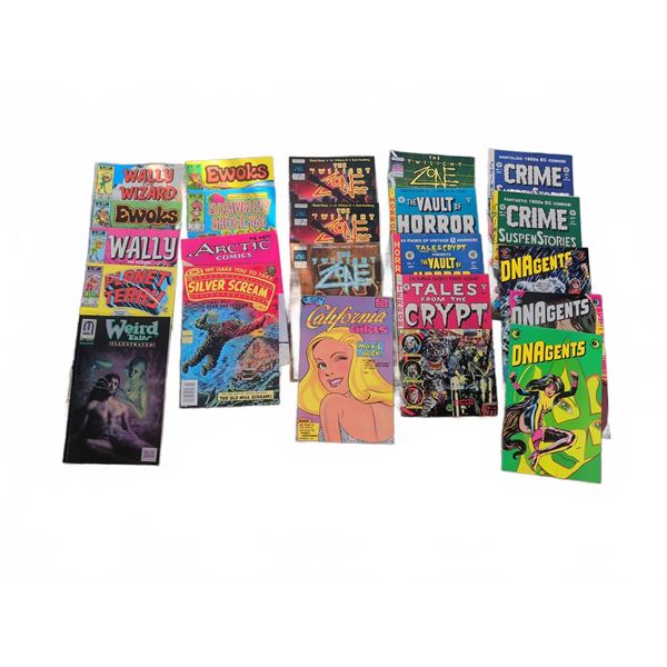 Comic Book Lot Featuring Wally Wizard, Ewoks, EC Horror, and More