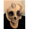 Image 3 : Skull with Serpent Sculpture, Elgin Alarm Clock, and Mystery Stemware Collection