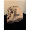 Image 4 : Skull with Serpent Sculpture, Elgin Alarm Clock, and Mystery Stemware Collection