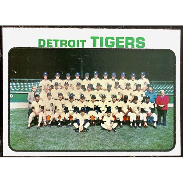 1973 TOPPS DETROIT TIGERS