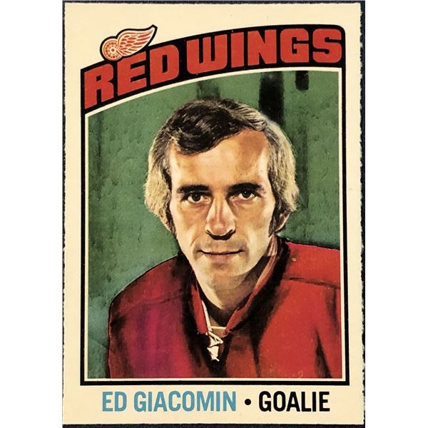 1976-77 O-PEE-CHEE NHL HOCKEY ED GIACOMIN (HOF)