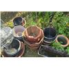 Image 5 : Yellow Wheelbarrow, Garden Wire Fence, and Assorted Planters