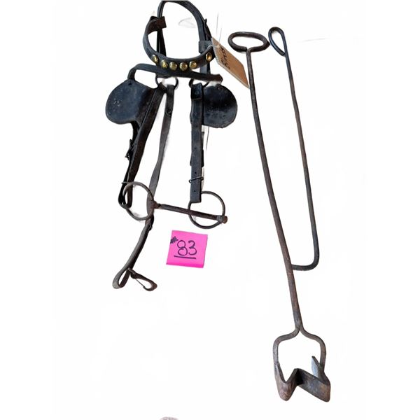 Horse Blinders Harness With M Branding Iron