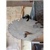 Image 3 : Hand Saws, Electric Engraver, and Wooden Toolbox