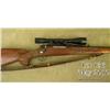 Image 3 : WINCHESTER Model 70, # 202077, .270 Win., 24"  barrel, blued finish with carved walnut stock  showin
