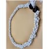 Image 1 : Hawaiian Mongo Shell Lei w/ Black Kukui Nuts & Tie Close