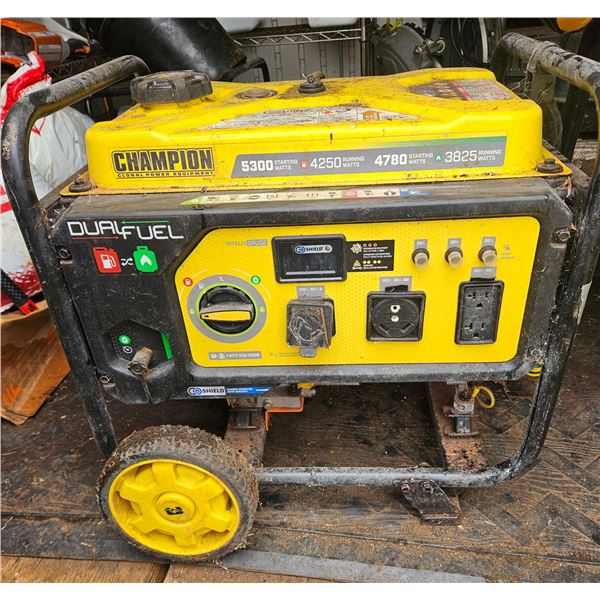 Champion Power Equipment 4250W Dual-Fuel Generator