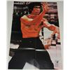 Image 2 : #454 1974 Kung-Ku Monthly #13 Poster Magazine