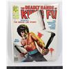 Image 1 : #536 Curtis The Deadly Hands of Kung Fu #28 Worn