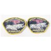 Image 2 : #881 Calgary Transit Supervisor Patch Set of 2