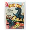 Image 1 : #1350 Charlton Comics Black Fury #48 1964 Worn