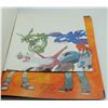 Image 2 : #120A Pokémon XD How to Catch Them All Guide