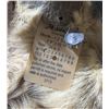 Image 5 : Pronghorn Antelope Taxidermy Shoulder Mount
