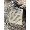 Image 6 : Whitetail Deer Taxidermy Shoulder Mount with Alberta Tag