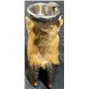 Image 6 : Boone and Crockett Club Ram Shoulder Mount and Hoof Ashtray