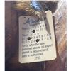 Image 8 : Boone and Crockett Club Ram Shoulder Mount and Hoof Ashtray