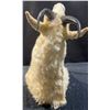 Image 3 : Mountain Goat Taxidermy Shoulder Mount with Hoof Ashtray