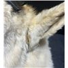Image 5 : Mountain Goat Taxidermy Shoulder Mount with Hoof Ashtray