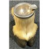 Image 9 : Mountain Goat Taxidermy Shoulder Mount with Hoof Ashtray