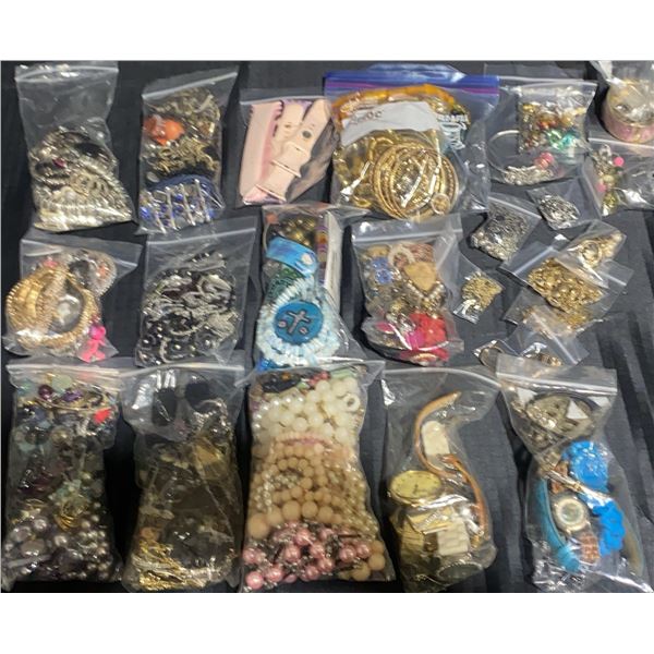 Costume Jewellery and Watches Lot