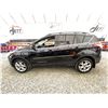 Image 24 : PARKSVILLE - 2013 FORD ESCAPE BLACK 133976 KMS - D60452-3
