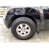 Image 31 : PARKSVILLE - 2006 NISSAN XTERRA BLACK 277584 KMS - 519778-3