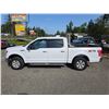 Image 16 : DUNCAN - 2017 FORD F-150 WHITE 223860 KMS - D22273-3