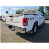 Image 9 : DUNCAN - 2017 FORD F-150 WHITE 223860 KMS - D22273-3