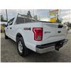 Image 13 : DUNCAN - 2017 FORD F-150 WHITE 200875 KMS - D22274-3