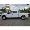 Image 15 : DUNCAN - 2017 FORD F-150 WHITE 200875 KMS - D22274-3