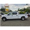 Image 16 : DUNCAN - 2017 FORD F-150 WHITE 200875 KMS - D22274-3