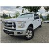 Image 1 : DUNCAN - 2017 FORD F-150 WHITE 200875 KMS - D22274-3