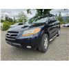 Image 1 : DUNCAN - 2009 HYUNDAI SANTA FE BLUE 284294 KMS - 253966-3