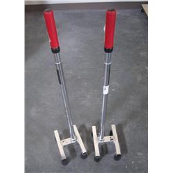 2-- Handicap Walking Sticks
