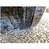 Image 30 : PARKSVILLE - 2018 VOLKSWAGEN ATLAS BLACK 198345 KMS - 593343-3