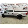 Image 23 : PARKSVILLE - 2012 FORD F-150 GREY 314434 KMS - D54716