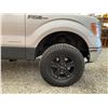 Image 25 : PARKSVILLE - 2012 FORD F-150 GREY 314434 KMS - D54716