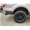 Image 27 : PARKSVILLE - 2012 FORD F-150 GREY 314434 KMS - D54716