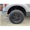 Image 31 : PARKSVILLE - 2012 FORD F-150 GREY 314434 KMS - D54716