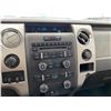 Image 52 : PARKSVILLE - 2012 FORD F-150 GREY 314434 KMS - D54716