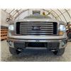 Image 5 : PARKSVILLE - 2012 FORD F-150 GREY 314434 KMS - D54716