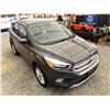 Image 10 : PARKSVILLE - 2019 FORD ESCAPE GREY 193835 KMS - C41497-1